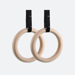 Gymnastic Ring